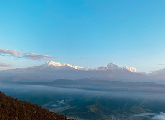 nepal/western-development-region/restaurant/eco-mountain-fam-house