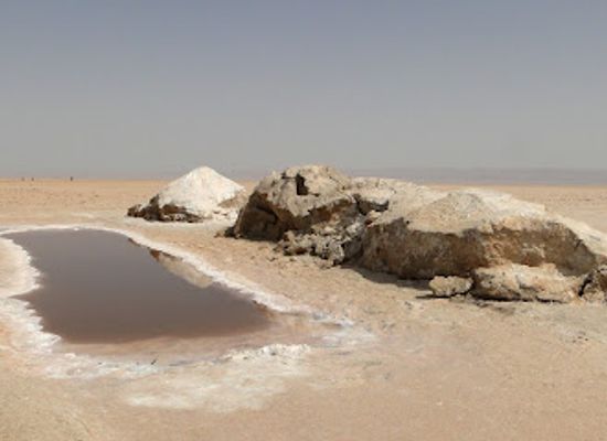 tunisia/chott-el-jerid/restaurant/chott-el-jerid