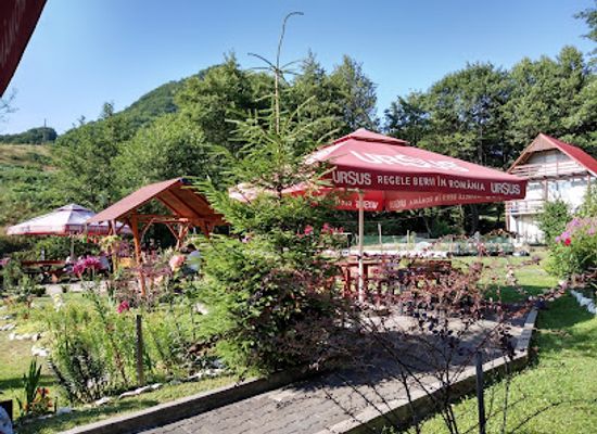 romania/maramures/restaurant/pastravaria-izvorul-rece