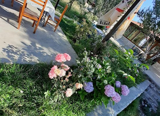 albania/kruje/restaurant/bar-restorant-joti-sarisalltik