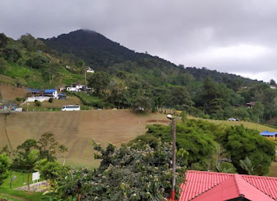 colombia/cauca-valley/restaurant/la-vaca-original