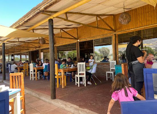 chile/coquimbo-region/restaurant/vala-elqui
