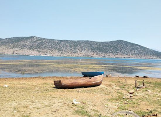 albania/prespa-national-park/restaurant/taverna-vasil