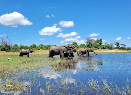botswana/chobe-district/restaurant/chobe-national-park