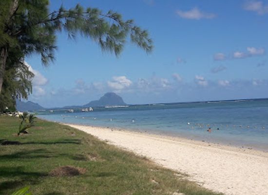 mauritius/flic-en-flac-beach/restaurant/white-shell-lounge-and-restaurant