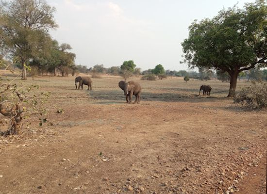 zambia/south-luangwa-national-park/restaurant/lion-camp-south-luangwa-national-park
