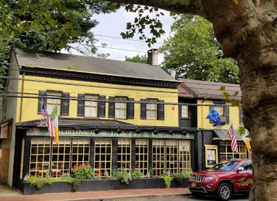 new-jersey/lambertville/restaurant/the-dubliner-on-the-delaware