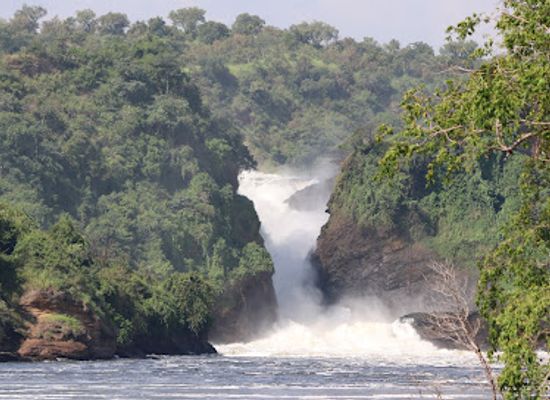 uganda/murchison-falls-national-park/restaurant/pakuba-safari-lodge