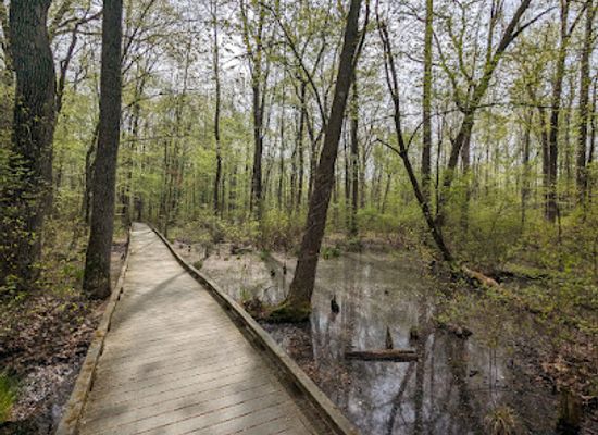 new-jersey/great-swamp-national-wildlife-refuge/restaurant/great-swamp-wildlife-observation-center
