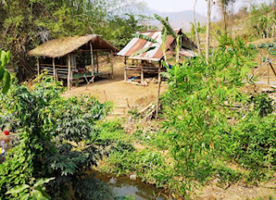 laos/central-laos/restaurant/rice-farm-cafe