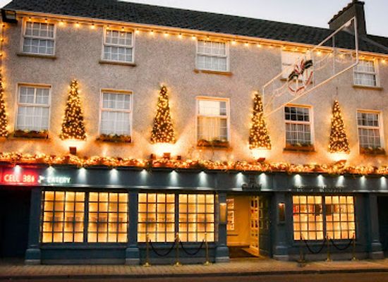 ireland/county-carlow/restaurant/the-clink