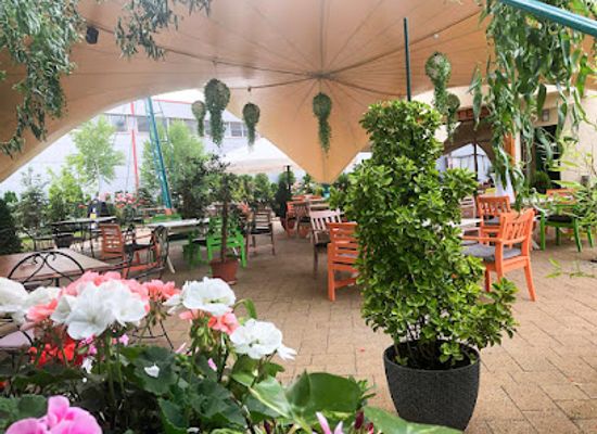 romania/prahova-valley/restaurant/restaurant-pub-cristal