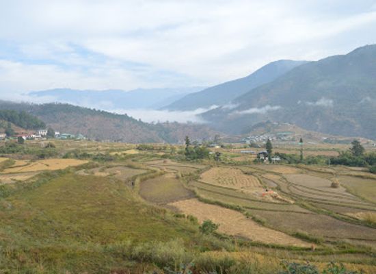 bhutan/wangdue-phodrang/restaurant/hotel-terrace