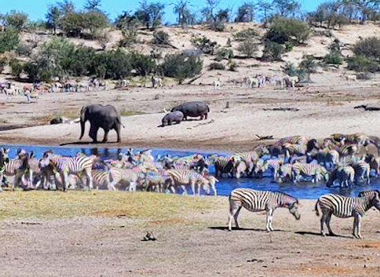 botswana/nxai-pan-national-park/restaurant/makgadikgadi-pans-national-park
