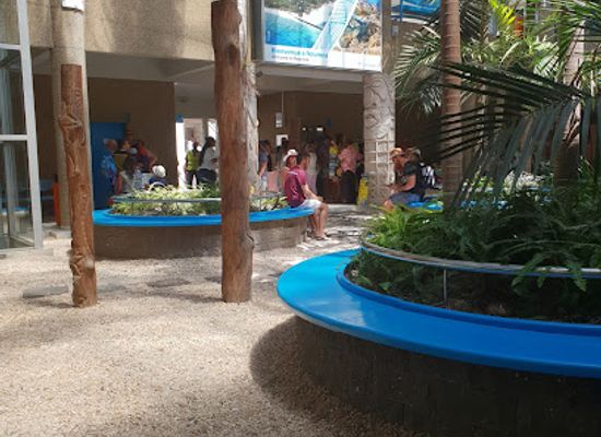new-caledonia/yate/restaurant/le-fare-du-quai-ferry