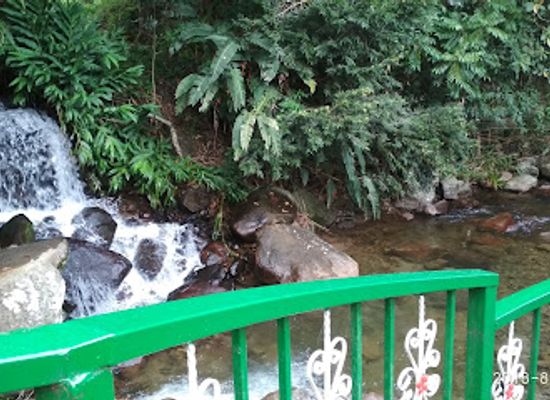 panama/chiriqui-highlands/restaurant/il-pianista