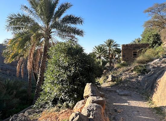 oman/al-hajar-mountains/restaurant/al-belad-house-restaurant