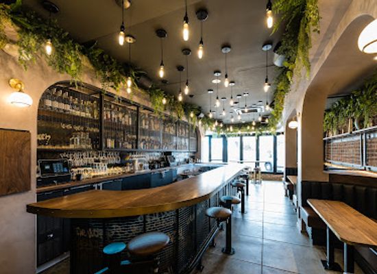 california/oceanside/restaurant/q-a-restaurant-and-oyster-bar