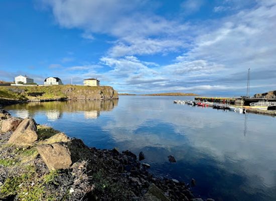 iceland/snæfellsnes-peninsula/restaurant/hafnarvagninn-fish-chips