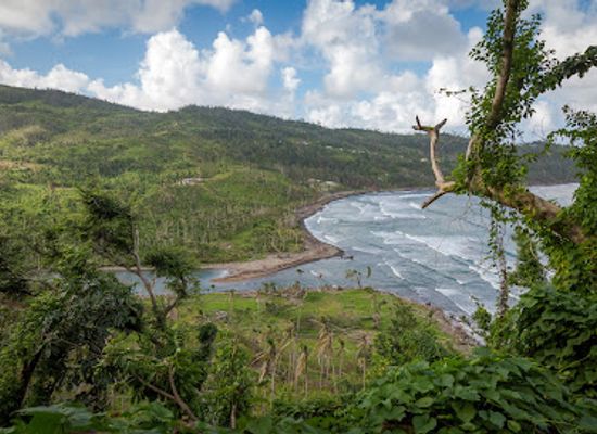 dominica/middleham-falls/restaurant/pagua-bay-bar-grill