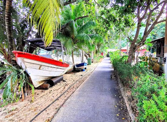 malaysia/tioman-island/restaurant/johan-chalet-and-restaurant