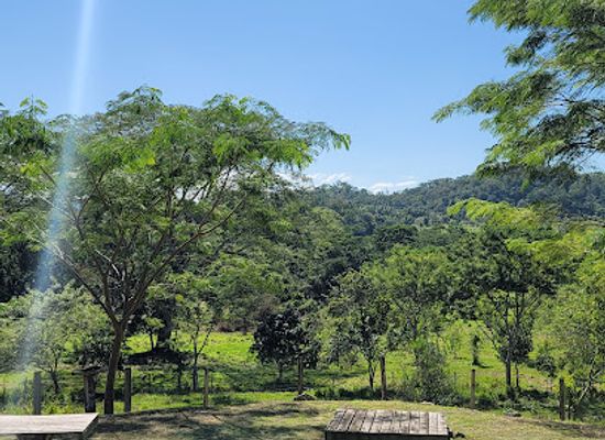 belize/mountain-pine-ridge-forest-reserve/restaurant/the-bluffs