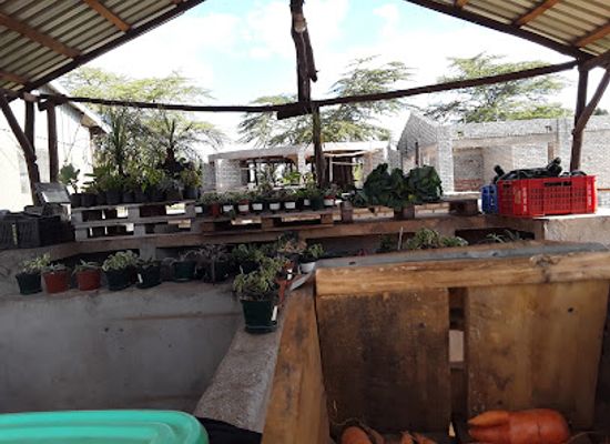 zimbabwe/mashonaland-central/restaurant/afropolitan-restaurant-bar-grill