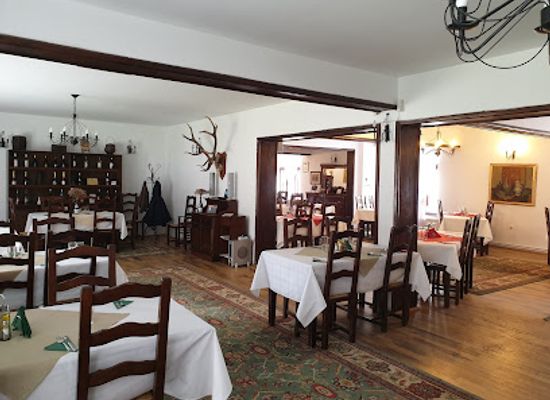 romania/prahova-valley/restaurant/restaurant-rhein-azuga