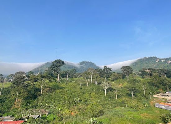 cameroon/mefou-national-park/restaurant/la-pizzeria-yaounde