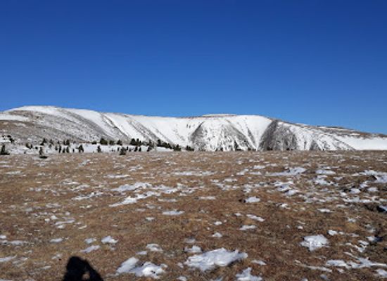 mongolia/khentii-mountains/restaurant/khan-khentii