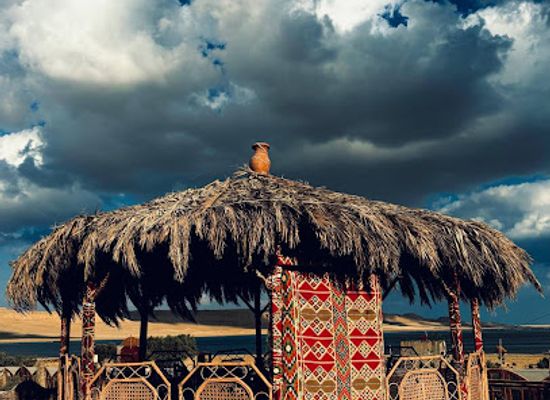egypt/wadi-el-rayan-national-park/restaurant/flamingo-camp