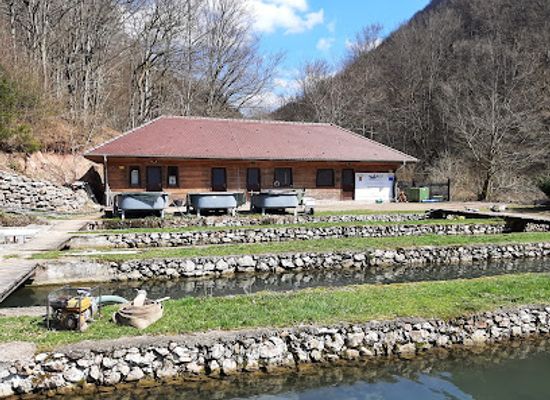 romania/bihor/restaurant/pastravaria-soimus