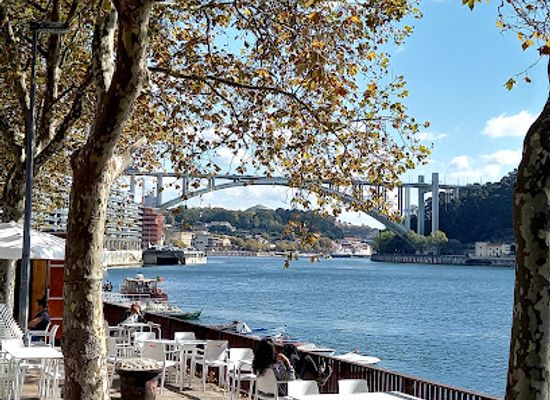 portugal/douro/restaurant/adega-rio-douro