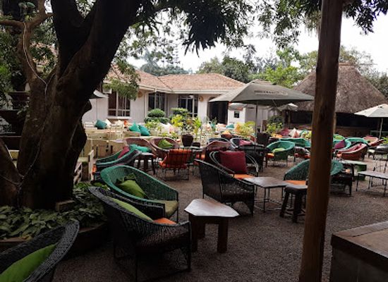 uganda/kampala/bugolobi/restaurant/gatto-matto