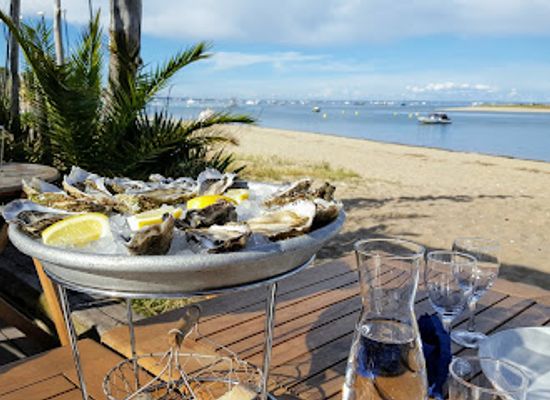 france/aquitaine-coast/restaurant/chai-bertrand