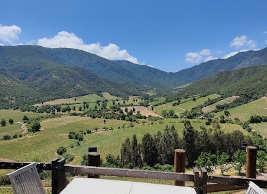 chile/colchagua-valley/restaurant/colchagua-wine-tours