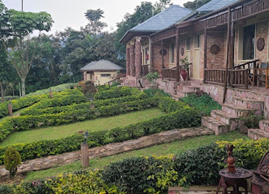 Experience luxury and adventure at Silverback Lodge in Bwindi - your gateway to gorilla trekking and Uganda's stunning wilderness.