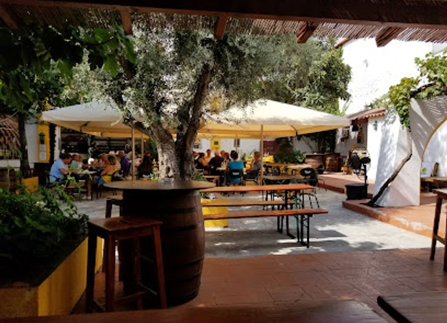 Experience authentic Portuguese cuisine at Páteo in Évora - where tradition meets flavor in every dish.