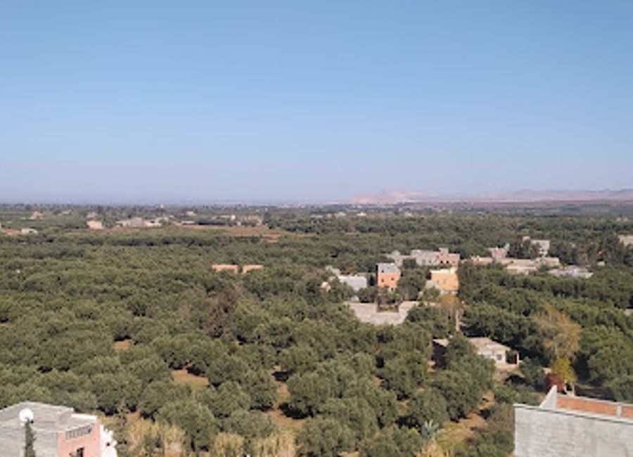 Discover authentic Moroccan cuisine at Ristorante Almandar in Ourika—an affordable gem surrounded by breathtaking landscapes.