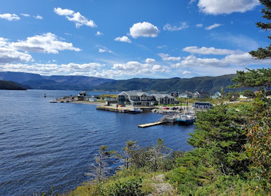 Experience the heart of Newfoundland at The Cat Stop – where delicious food meets lively entertainment in Norris Point.