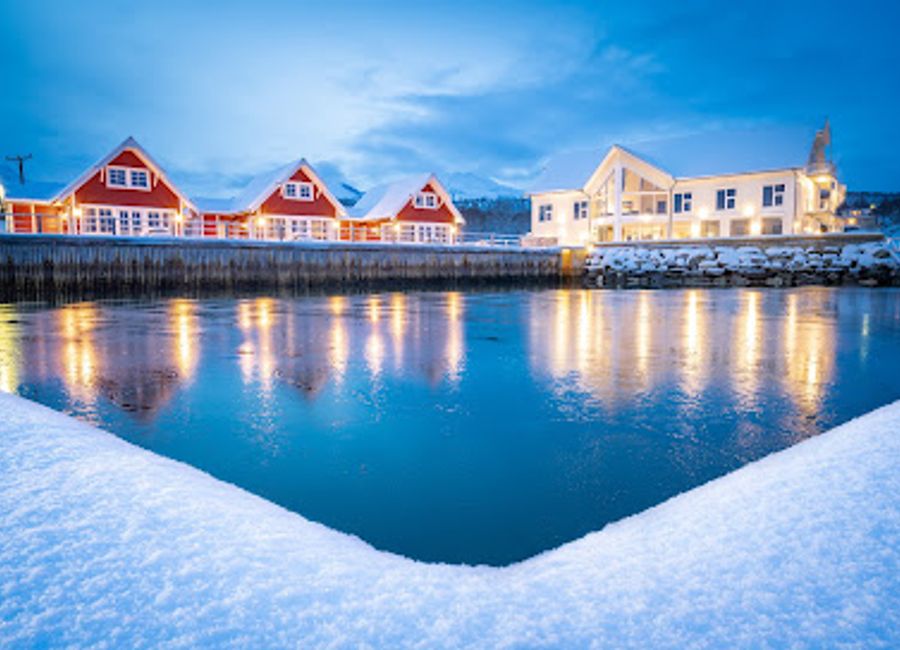 Experience authentic Norwegian cuisine with stunning fjord views at Senja Fjordhotell - a hidden gem for food lovers.