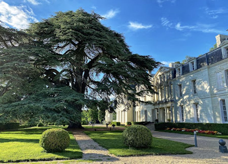 Experience exquisite haute French cuisine at Restaurant du Château de Rochecotte in Coteaux-sur-Loire – a true culinary gem amidst stunning landscapes.