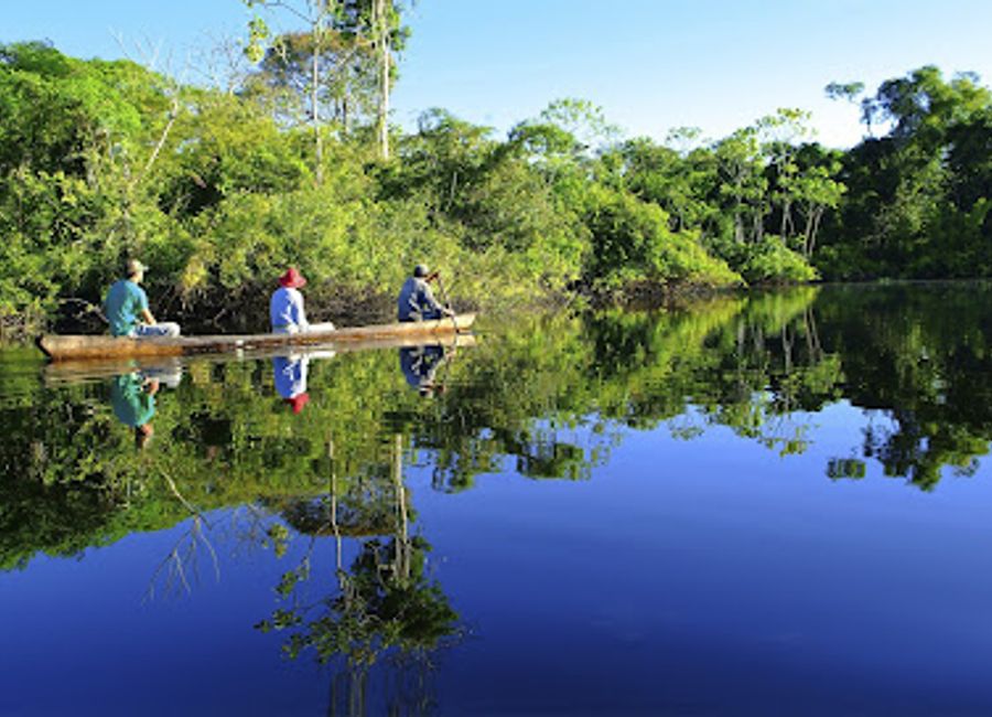 Discover the lush landscapes and vibrant wildlife of Reserva Nacional Pacaya Samiria – a breathtaking national park in Peru's Amazon rainforest.