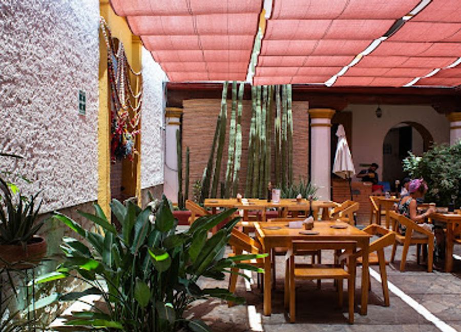 Discover Hierba Dulce: A charming vegan restaurant in Oaxaca offering innovative dishes made from fresh local ingredients.