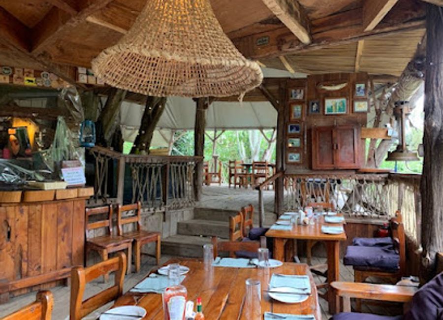 Experience delightful dining at Trout Tree Restaurant in Nanyuki—where fresh trout meets breathtaking riverside views.