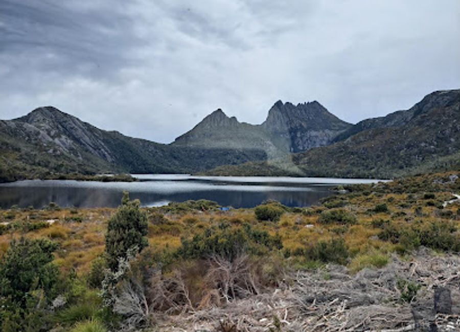 Discover comfort and flavor at Elements Cafe in Cradle Mountain—your perfect retreat amidst Tasmania's natural beauty.