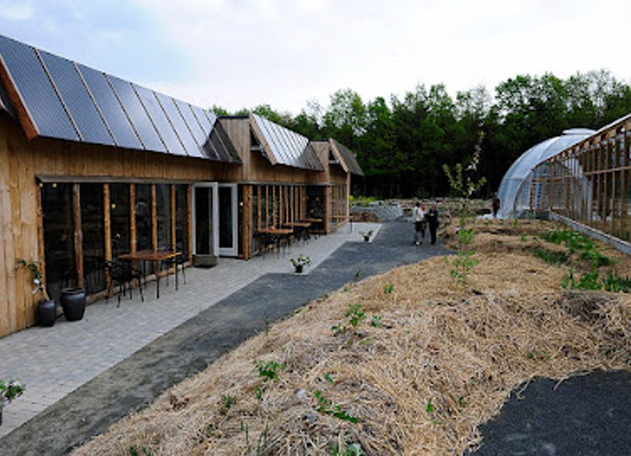 Experience culinary artistry at Restaurant Moment in Rønde - where fine dining meets innovative vegetarian cuisine.