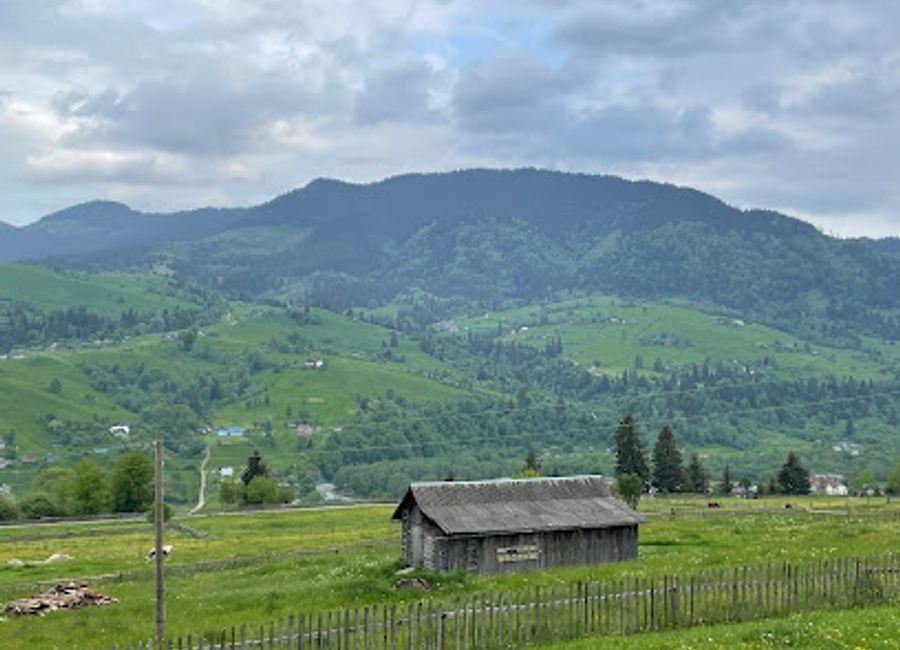 Experience authentic Ukrainian cuisine at At Moshe's Tavern in Il'tsi - where tradition meets taste in every dish.