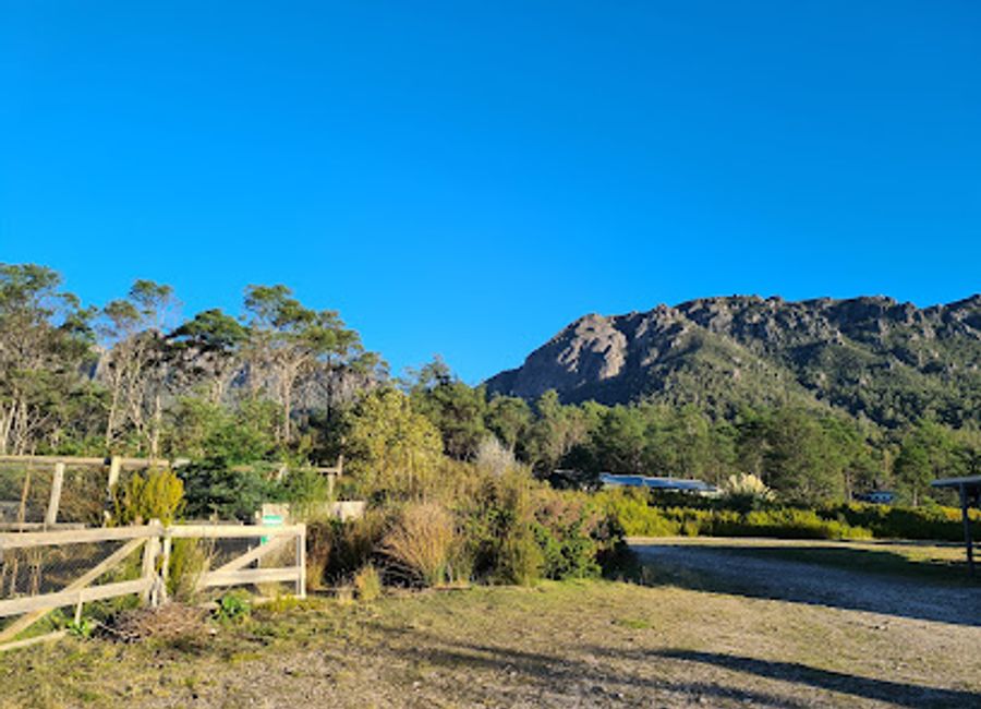 Experience authentic Tasmanian cuisine at The Old Black Stump Restaurant in Gowrie Park – where local flavors meet warm hospitality.