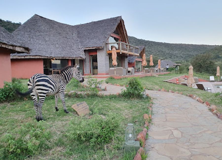 Discover luxury and adventure at Spirit of the Masai Mara – where wildlife encounters meet cultural richness in Kenya's breathtaking landscape.